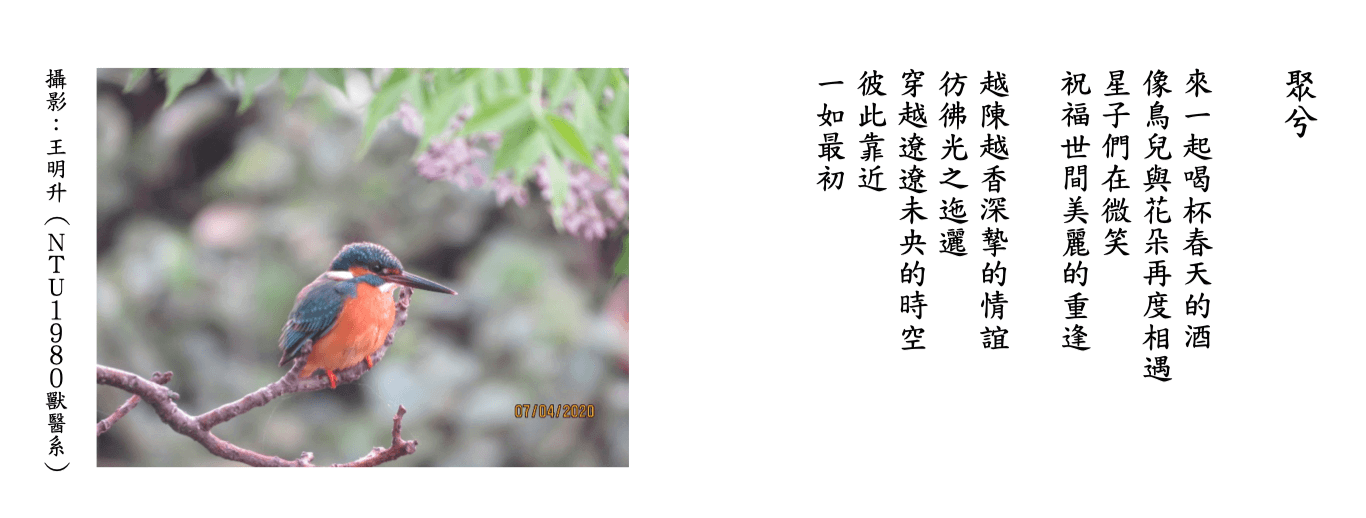 聚兮