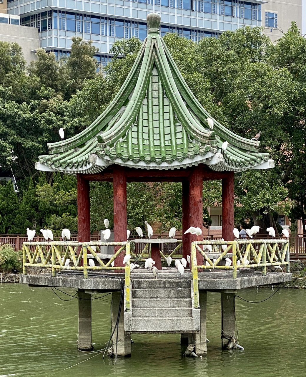 考古系 2022-03-11
